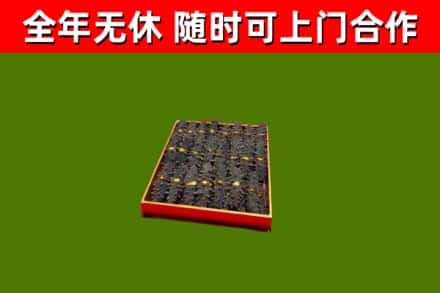 云南省回收海参